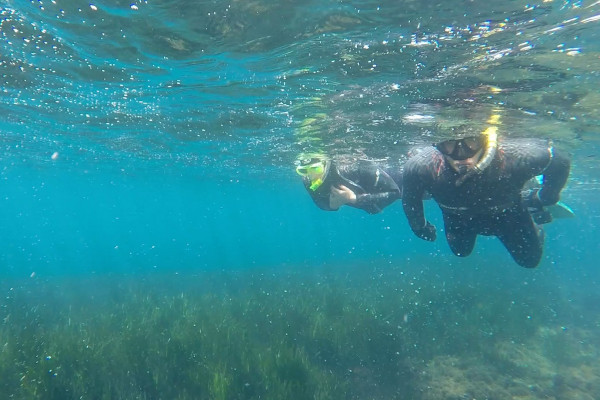 Snorkeling in Ischia: between caves and gaseous emissions