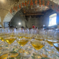 Ischia Savage: Visit and Wine Tasting in Cellar