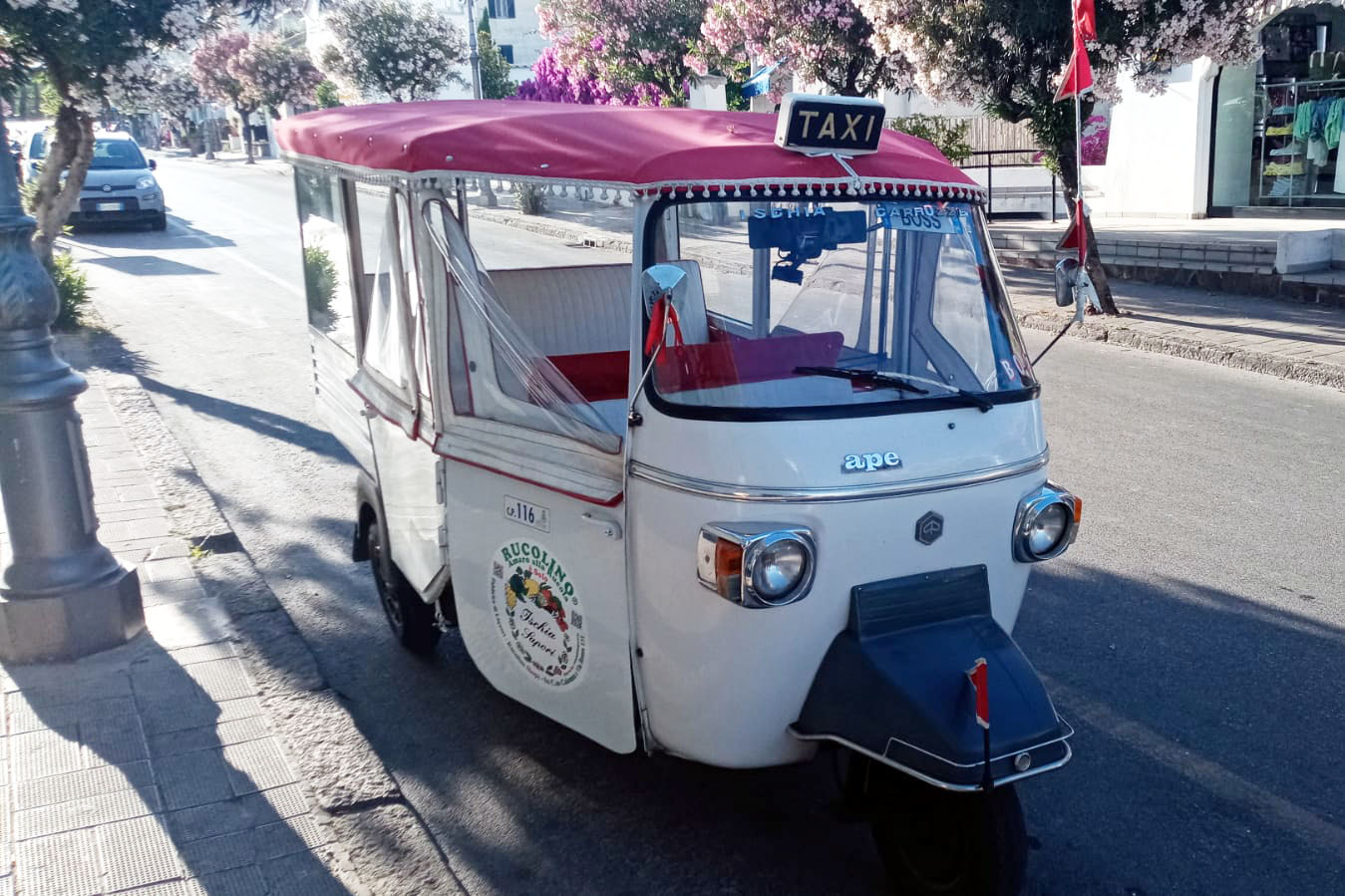 Ischia of past times: a ride around the island by Microtaxi