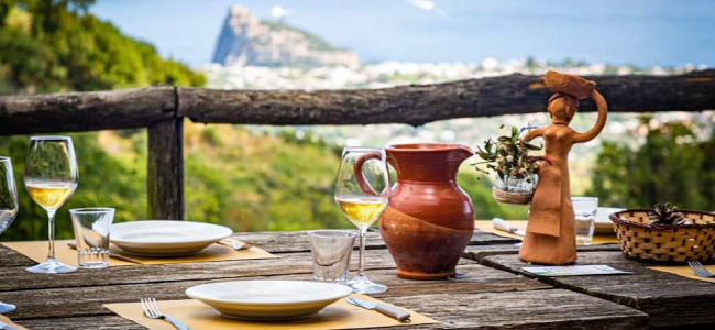 Tenuta del Cannavale BIO Experience: Nature Walk with Tasting