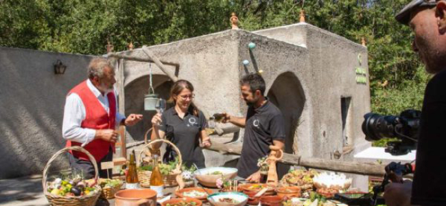 Tenuta del Cannavale BIO Experience: Nature Walk with Tasting