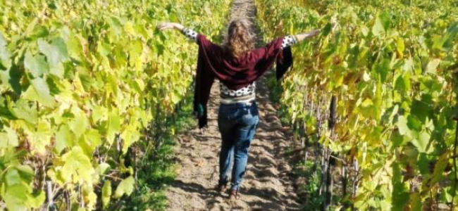 Tenuta del Cannavale BIO Experience: Nature Walk with Tasting