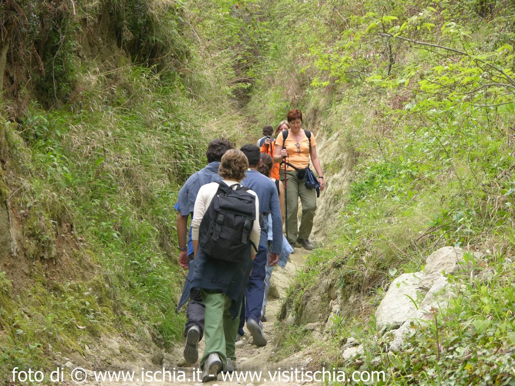 Excursion: Geo trekking on mountain